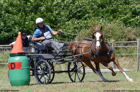 2017-06-10 CCA Saint Pierre Bénouville, 03-DSC_7272
