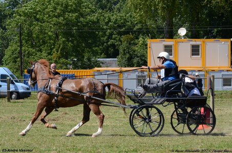 2017-06-10 CCA Saint Pierre Bénouville, 03-DSC_7293