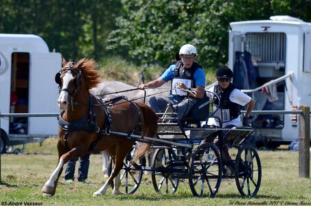 2017-06-10 CCA Saint Pierre Bénouville, 03-DSC_7310