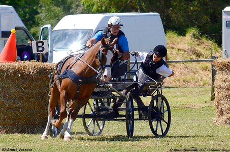 2017-06-10 CCA Saint Pierre Bénouville, 03-DSC_7316