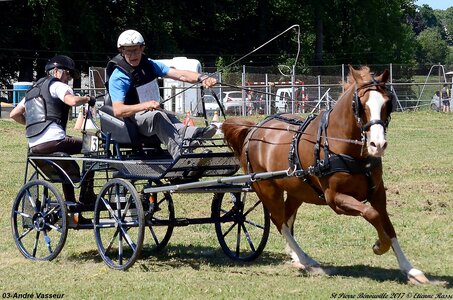 2017-06-10 CCA Saint Pierre Bénouville, 03-DSC_7323