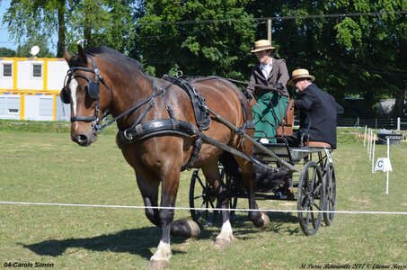 2017-06-10 CCA Saint Pierre Bénouville, 04-DSC_6822