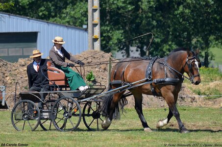 2017-06-10 CCA Saint Pierre Bénouville, 04-DSC_6829