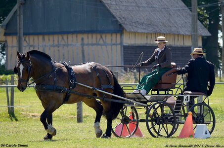 2017-06-10 CCA Saint Pierre Bénouville, 04-DSC_6871