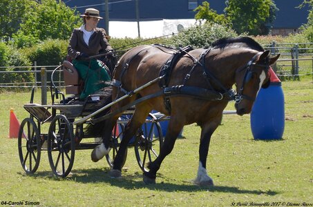 2017-06-10 CCA Saint Pierre Bénouville, 04-DSC_6872