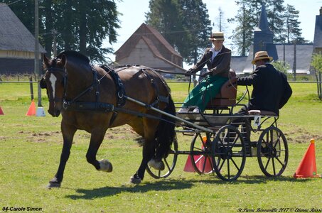 2017-06-10 CCA Saint Pierre Bénouville, 04-DSC_6874