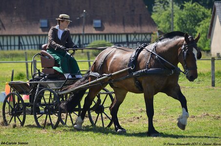 2017-06-10 CCA Saint Pierre Bénouville, 04-DSC_6885