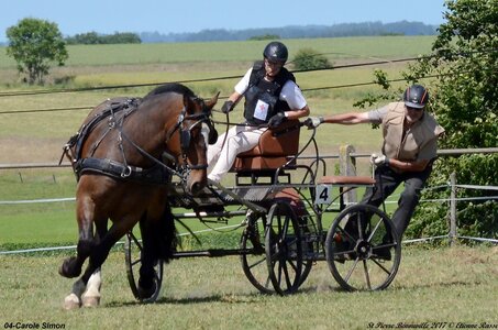 2017-06-10 CCA Saint Pierre Bénouville, 04-DSC_7208