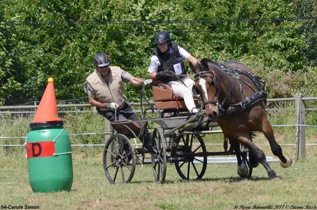 2017-06-10 CCA Saint Pierre Bénouville, 04-DSC_7213