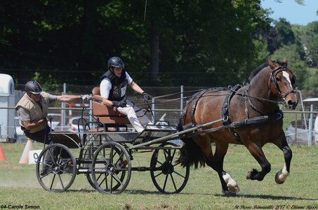 2017-06-10 CCA Saint Pierre Bénouville, 04-DSC_7221