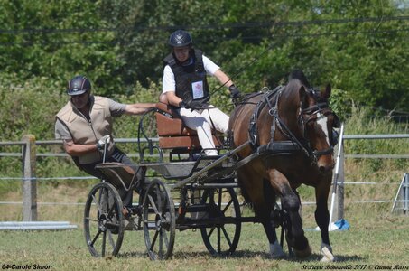 2017-06-10 CCA Saint Pierre Bénouville, 04-DSC_7331