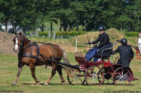 2017-06-10 CCA Saint Pierre Bénouville, 05-DSC_6631