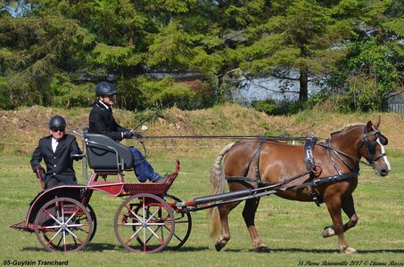 2017-06-10 CCA Saint Pierre Bénouville, 05-DSC_6637