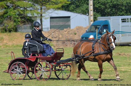 2017-06-10 CCA Saint Pierre Bénouville, 05-DSC_6638