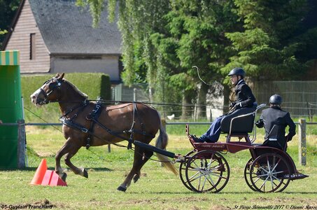 2017-06-10 CCA Saint Pierre Bénouville, 05-DSC_6672