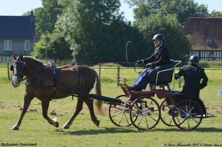 2017-06-10 CCA Saint Pierre Bénouville, 05-DSC_6676