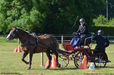 2017-06-10 CCA Saint Pierre Bénouville, 05-DSC_6685