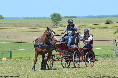 2017-06-10 CCA Saint Pierre Bénouville, 05-DSC_7013