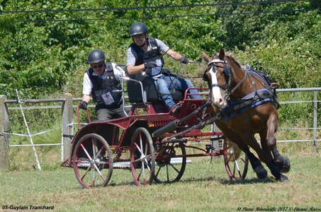 2017-06-10 CCA Saint Pierre Bénouville, 05-DSC_7015