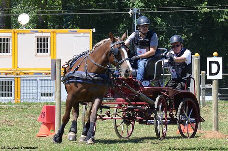 2017-06-10 CCA Saint Pierre Bénouville, 05-DSC_7018