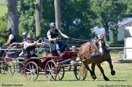 2017-06-10 CCA Saint Pierre Bénouville, 05-DSC_7025