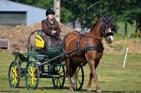 2017-06-10 CCA Saint Pierre Bénouville, 06-DSC_6659