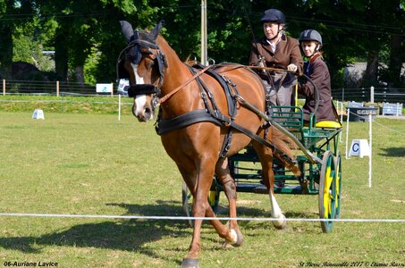 2017-06-10 CCA Saint Pierre Bénouville, 06-DSC_6667