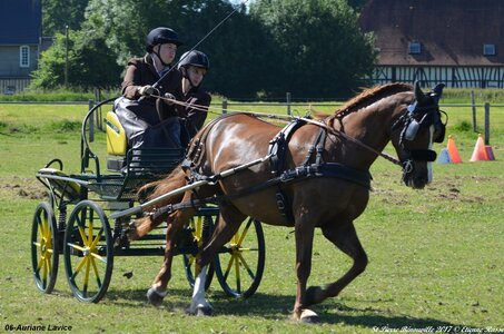 2017-06-10 CCA Saint Pierre Bénouville, 06-DSC_6696