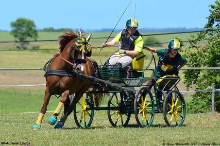 2017-06-10 CCA Saint Pierre Bénouville, 06-DSC_7034