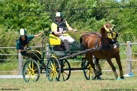 2017-06-10 CCA Saint Pierre Bénouville, 06-DSC_7038