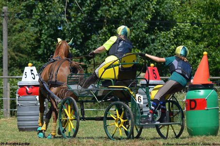 2017-06-10 CCA Saint Pierre Bénouville, 06-DSC_7039