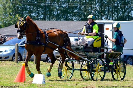 2017-06-10 CCA Saint Pierre Bénouville, 06-DSC_7043