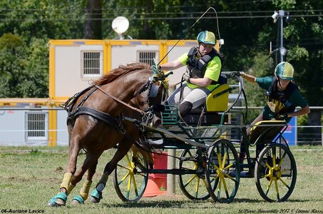 2017-06-10 CCA Saint Pierre Bénouville, 06-DSC_7049