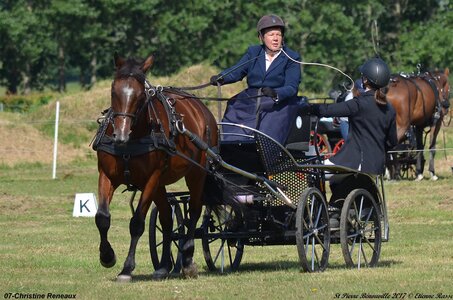 2017-06-10 CCA Saint Pierre Bénouville, 07-DSC_6603