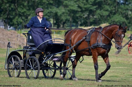 2017-06-10 CCA Saint Pierre Bénouville, 07-DSC_6608