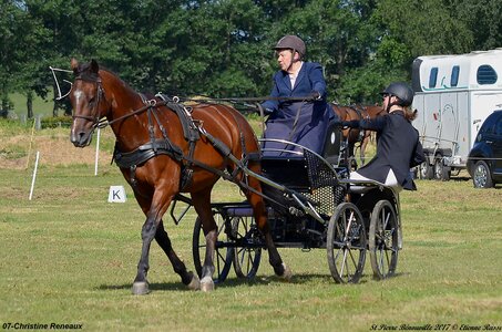 2017-06-10 CCA Saint Pierre Bénouville, 07-DSC_6610