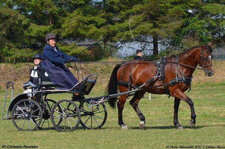 2017-06-10 CCA Saint Pierre Bénouville, 07-DSC_6611