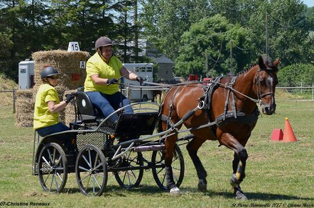 2017-06-10 CCA Saint Pierre Bénouville, 07-DSC_6967