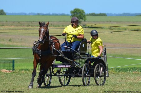 2017-06-10 CCA Saint Pierre Bénouville, 07-DSC_6968