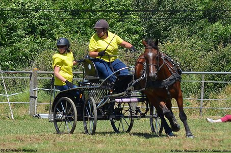 2017-06-10 CCA Saint Pierre Bénouville, 07-DSC_6969