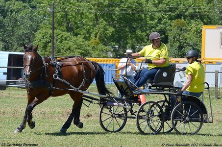 2017-06-10 CCA Saint Pierre Bénouville, 07-DSC_6978