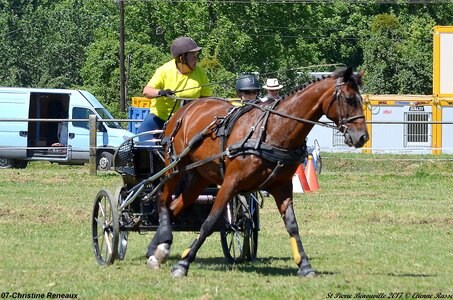 2017-06-10 CCA Saint Pierre Bénouville, 07-DSC_6979