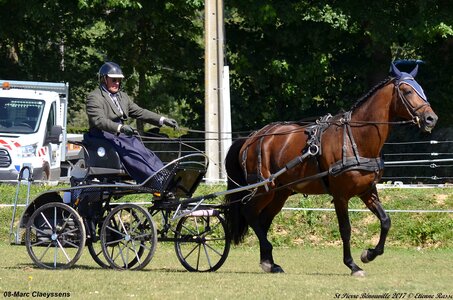 2017-06-10 CCA Saint Pierre Bénouville, 08-DSC_6784
