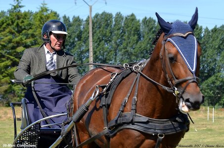 2017-06-10 CCA Saint Pierre Bénouville, 08-DSC_6788