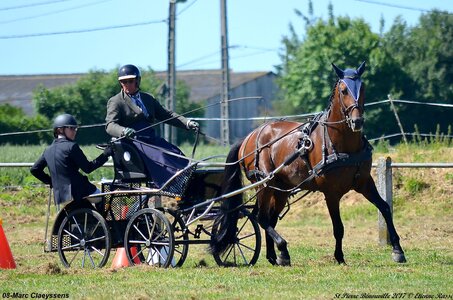 2017-06-10 CCA Saint Pierre Bénouville, 08-DSC_6832