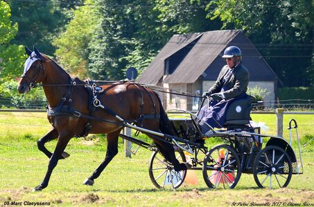 2017-06-10 CCA Saint Pierre Bénouville, 08-DSC_6846