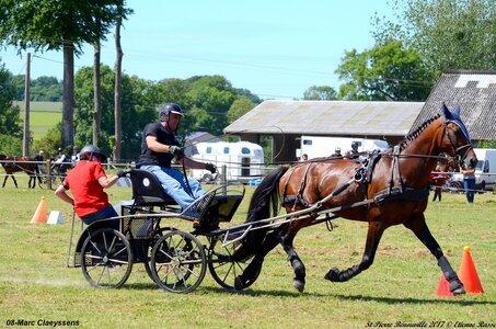 2017-06-10 CCA Saint Pierre Bénouville, 08-DSC_7159