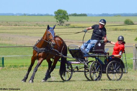 2017-06-10 CCA Saint Pierre Bénouville, 08-DSC_7160