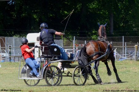 2017-06-10 CCA Saint Pierre Bénouville, 08-DSC_7184