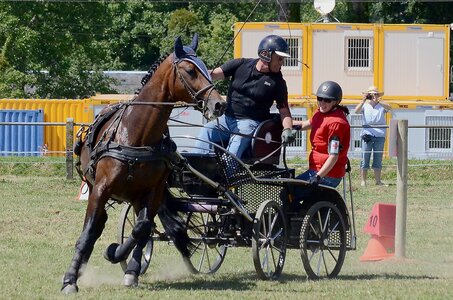 2017-06-10 CCA Saint Pierre Bénouville, 08-DSC_7189
